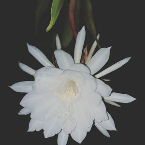 Meet your Posher, Jesse